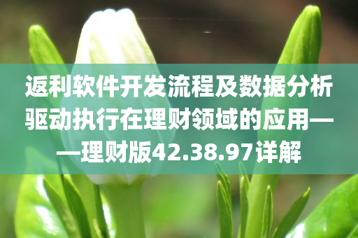 返利软件开发流程及数据分析驱动执行在理财领域的应用——理财版42.38.97详解