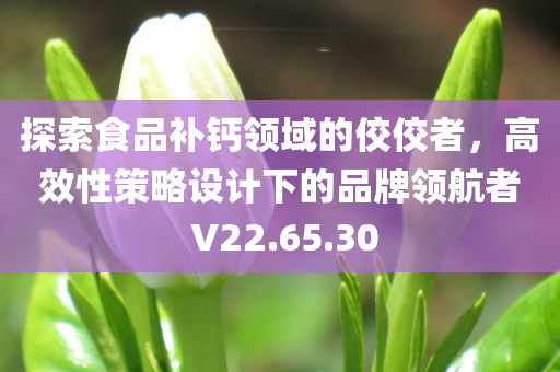 探索食品补钙领域的佼佼者，高效性策略设计下的品牌领航者 V22.65.30