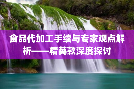 食品代加工手续与专家观点解析——精英款深度探讨