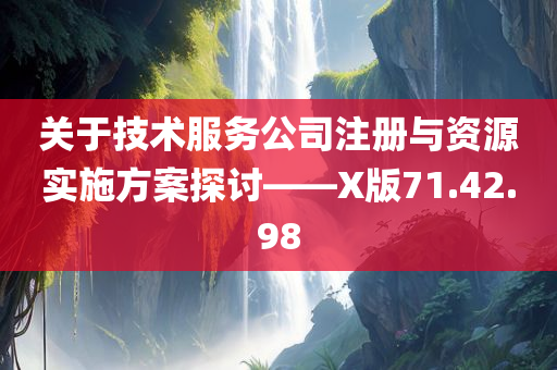 关于技术服务公司注册与资源实施方案探讨——X版71.42.98