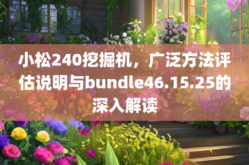 小松240挖掘机，广泛方法评估说明与bundle46.15.25的深入解读