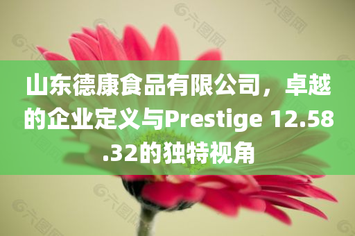 山东德康食品有限公司，卓越的企业定义与Prestige 12.58.32的独特视角