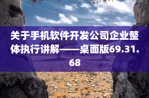 关于手机软件开发公司企业整体执行讲解——桌面版69.31.68