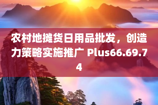 农村地摊货日用品批发，创造力策略实施推广 Plus66.69.74