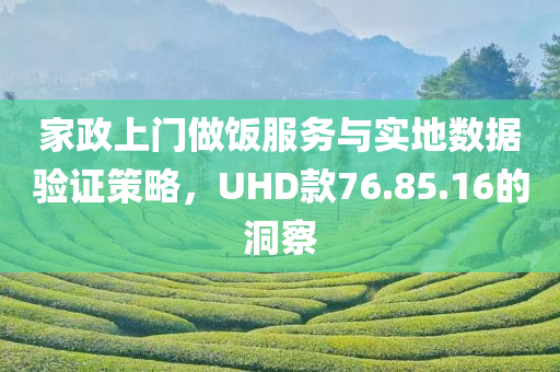 家政上门做饭服务与实地数据验证策略，UHD款76.85.16的洞察