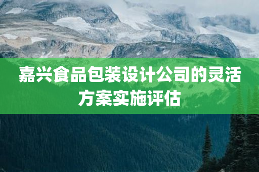 嘉兴食品包装设计公司的灵活方案实施评估