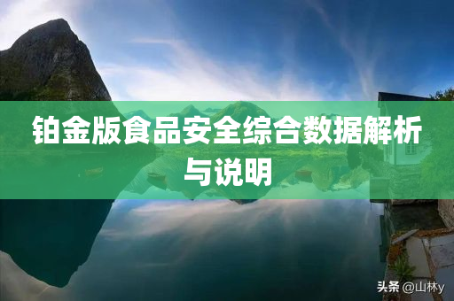 铂金版食品安全综合数据解析与说明