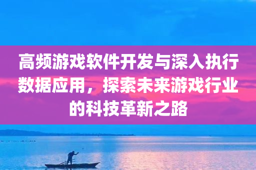 高频游戏软件开发与深入执行数据应用，探索未来游戏行业的科技革新之路