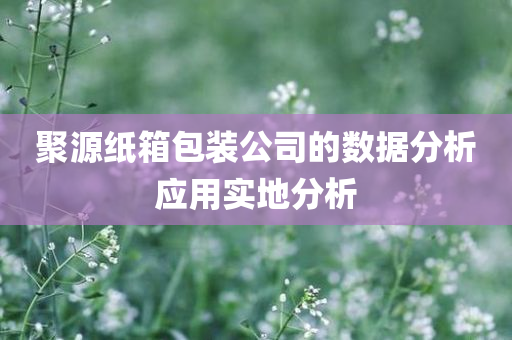 聚源纸箱包装公司的数据分析应用实地分析