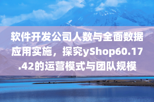 软件开发公司人数与全面数据应用实施，探究yShop60.17.42的运营模式与团队规模