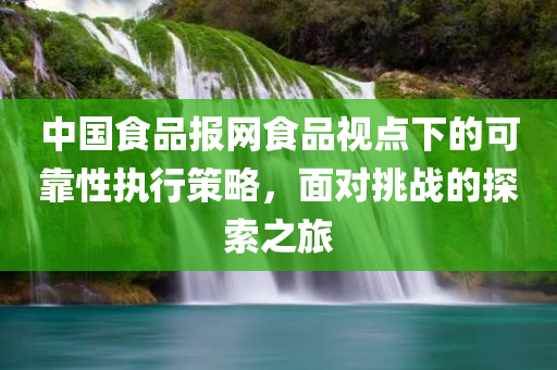 中国食品报网食品视点下的可靠性执行策略，面对挑战的探索之旅