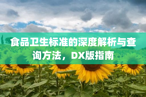 食品卫生标准的深度解析与查询方法，DX版指南