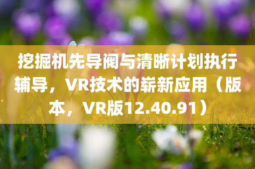 挖掘机先导阀与清晰计划执行辅导，VR技术的崭新应用（版本，VR版12.40.91）