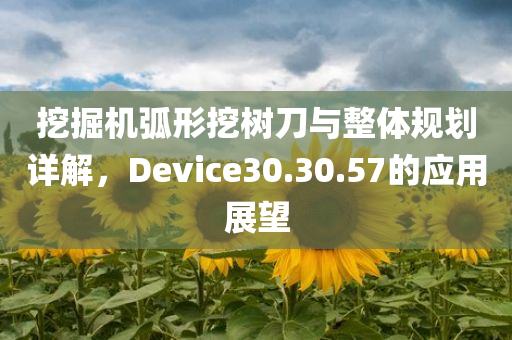 挖掘机弧形挖树刀与整体规划详解，Device30.30.57的应用展望