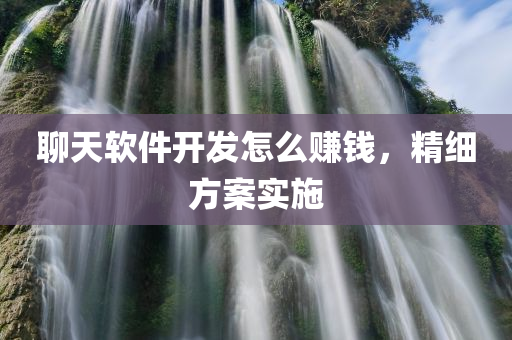 聊天软件开发怎么赚钱，精细方案实施