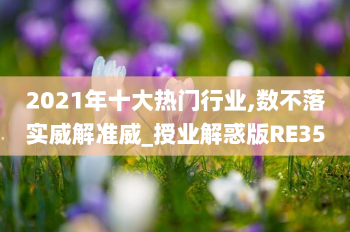 2021年十大热门行业,数不落实威解准威_授业解惑版RE35