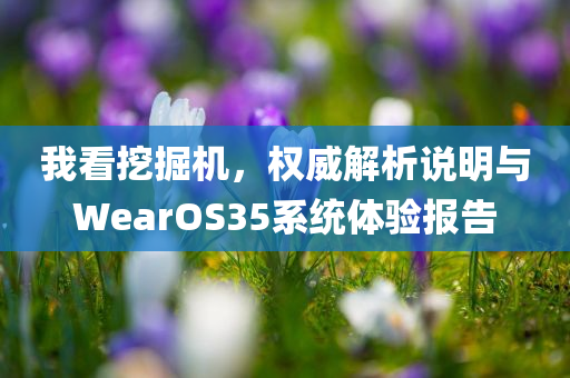 我看挖掘机，权威解析说明与WearOS35系统体验报告