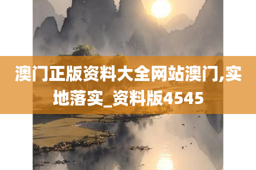 澳门正版资料大全网站澳门,实地落实_资料版4545