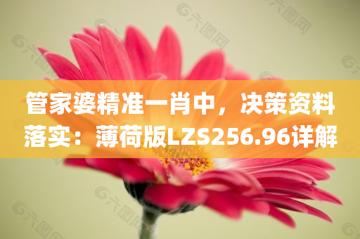 管家婆精准一肖中，决策资料落实：薄荷版LZS256.96详解