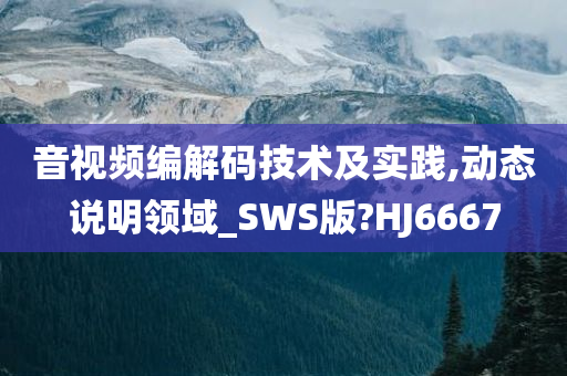 音视频编解码技术及实践,动态说明领域_SWS版?HJ6667