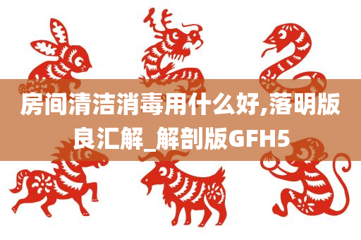 房间清洁消毒用什么好,落明版良汇解_解剖版GFH5