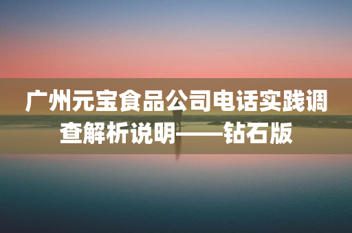 广州元宝食品公司电话实践调查解析说明——钻石版