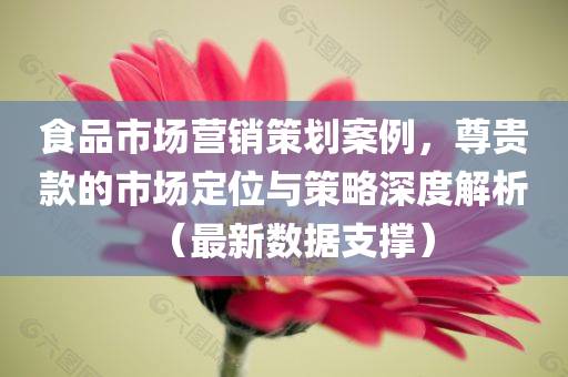 食品市场营销策划案例，尊贵款的市场定位与策略深度解析（最新数据支撑）