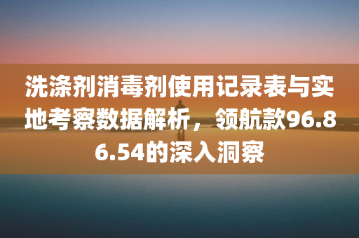 洗涤剂消毒剂使用记录表与实地考察数据解析，领航款96.86.54的深入洞察