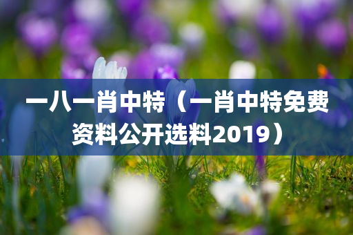 一八一肖中特（一肖中特免费资料公开选料2019）