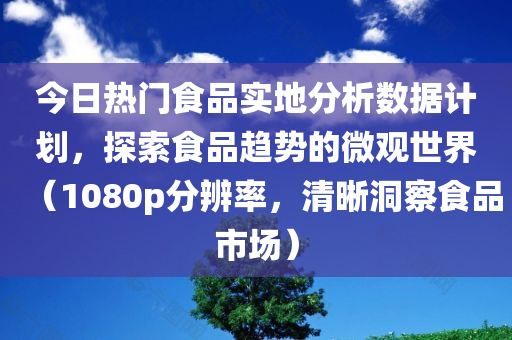 今日热门食品实地分析数据计划，探索食品趋势的微观世界（1080p分辨率，清晰洞察食品市场）