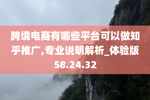 跨境电商有哪些平台可以做知乎推广,专业说明解析_体验版58.24.32