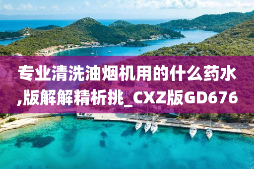 专业清洗油烟机用的什么药水,版解解精析挑_CXZ版GD676