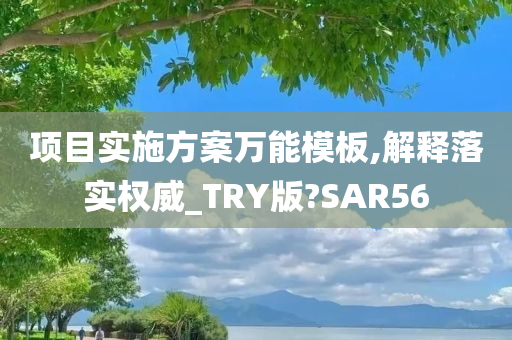 项目实施方案万能模板,解释落实权威_TRY版?SAR56