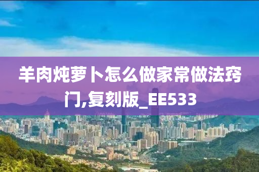 羊肉炖萝卜怎么做家常做法窍门,复刻版_EE533