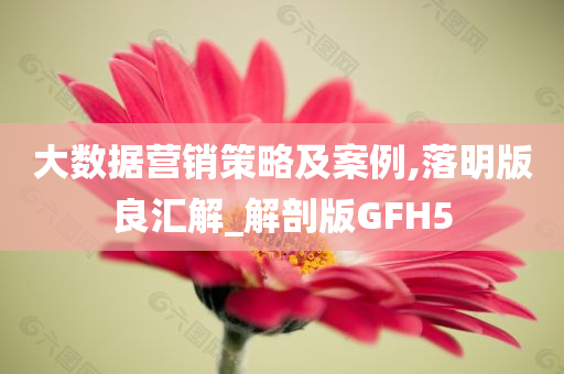 大数据营销策略及案例,落明版良汇解_解剖版GFH5