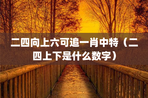 二四向上六可追一肖中特（二四上下是什么数字）