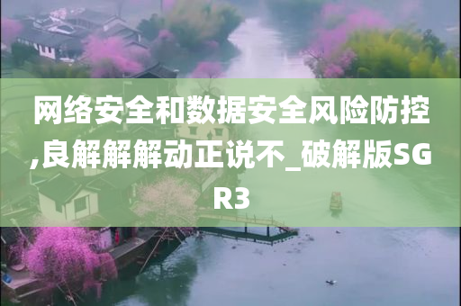 网络安全和数据安全风险防控,良解解解动正说不_破解版SGR3