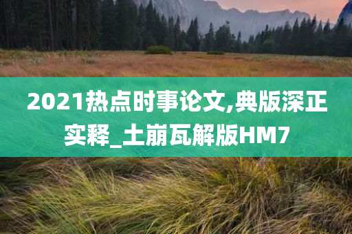 2021热点时事论文,典版深正实释_土崩瓦解版HM7