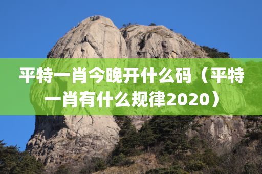 平特一肖今晚开什么码（平特一肖有什么规律2020）