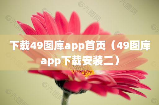 下载49图库app首页（49图库app下载安装二）