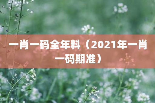 一肖一码全年料（2021年一肖一码期准）