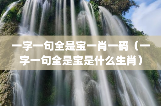 一字一句全是宝一肖一码（一字一句全是宝是什么生肖）