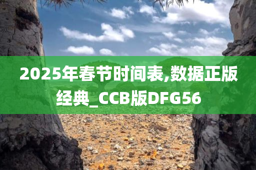 2025年春节时间表,数据正版经典_CCB版DFG56