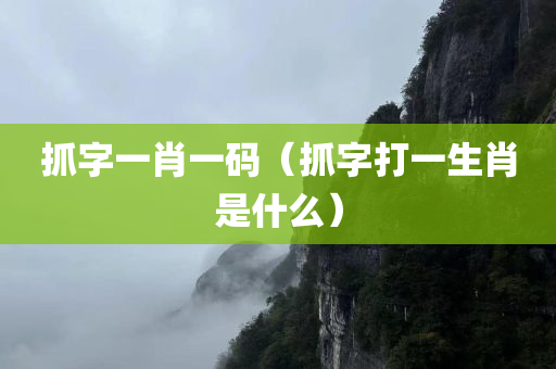 抓字一肖一码（抓字打一生肖是什么）