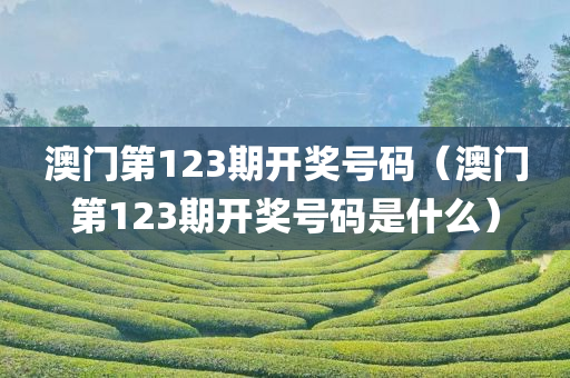 澳门第123期开奖号码（澳门第123期开奖号码是什么）