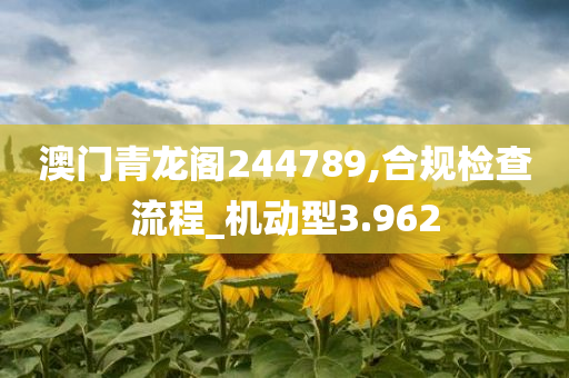 澳门青龙阁244789,合规检查流程_机动型3.962