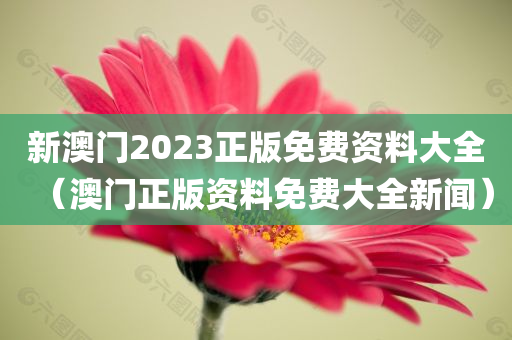 新澳门2023正版免费资料大全（澳门正版资料免费大全新闻）