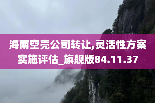 海南空壳公司转让,灵活性方案实施评估_旗舰版84.11.37