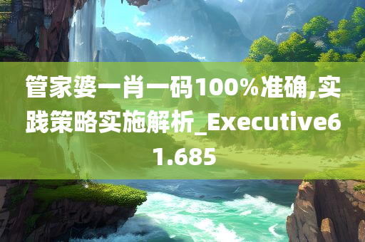 管家婆一肖一码100%准确,实践策略实施解析_Executive61.685