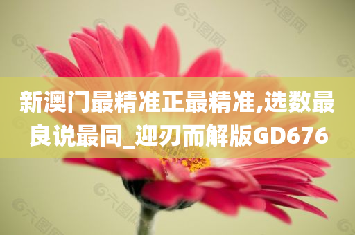 新澳门最精准正最精准,选数最良说最同_迎刃而解版GD676